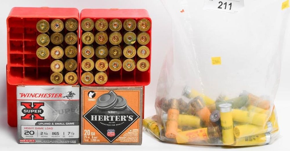 Lot 211: Large Selection Of Mixed 20 Ga Plastic Shotshells