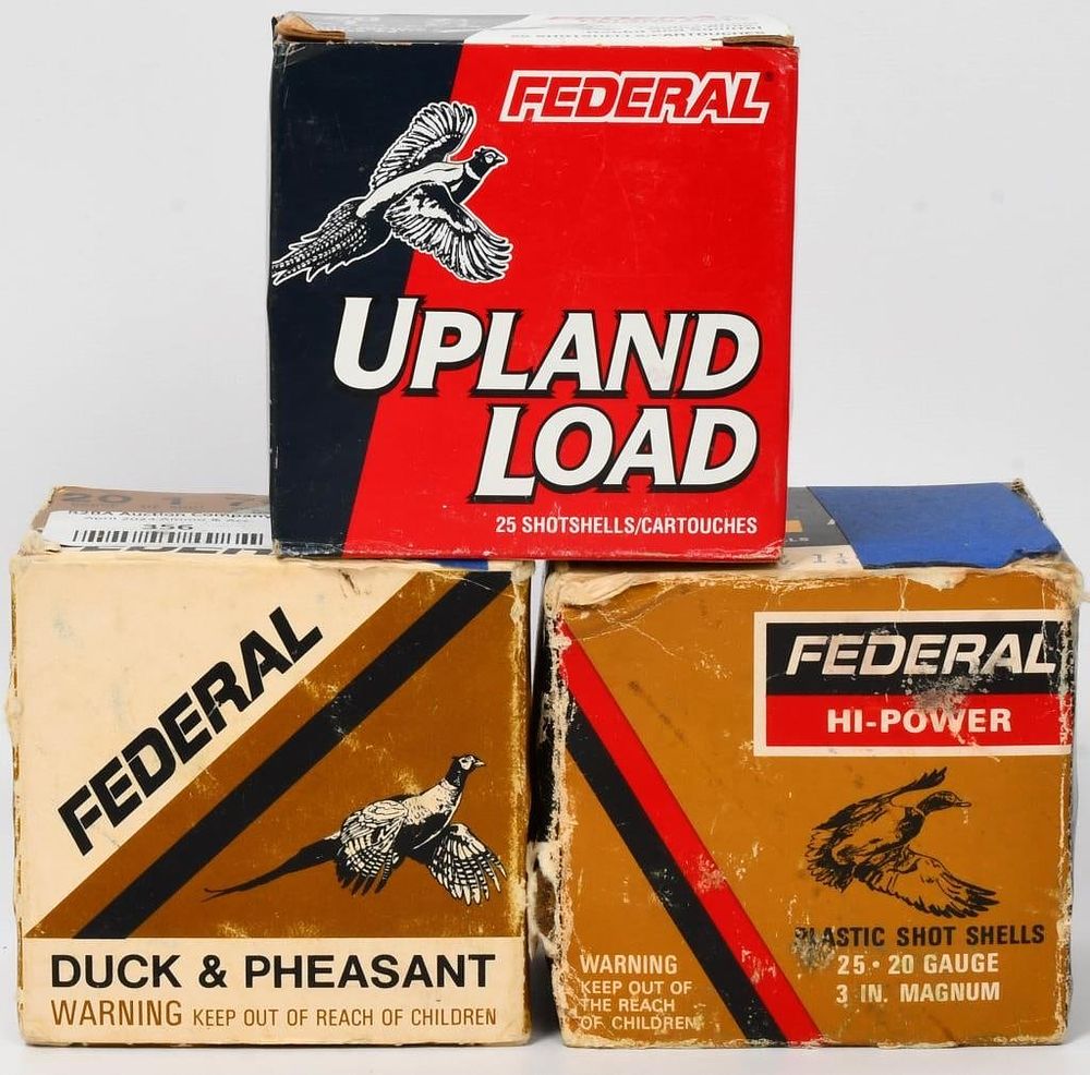 Lot 1381: 75 Rounds Are Mixed 20 Ga Plastic Shotshells