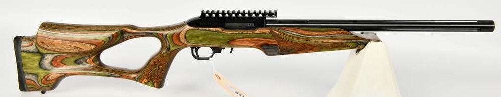 Lot 411: Magnum Research MLR-1722 Custom Build 10/22 Rifle