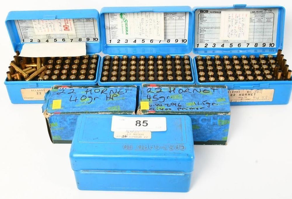 Lot 85: Lot of 243 Rounds of .22 Hornet Ammo & Brass
