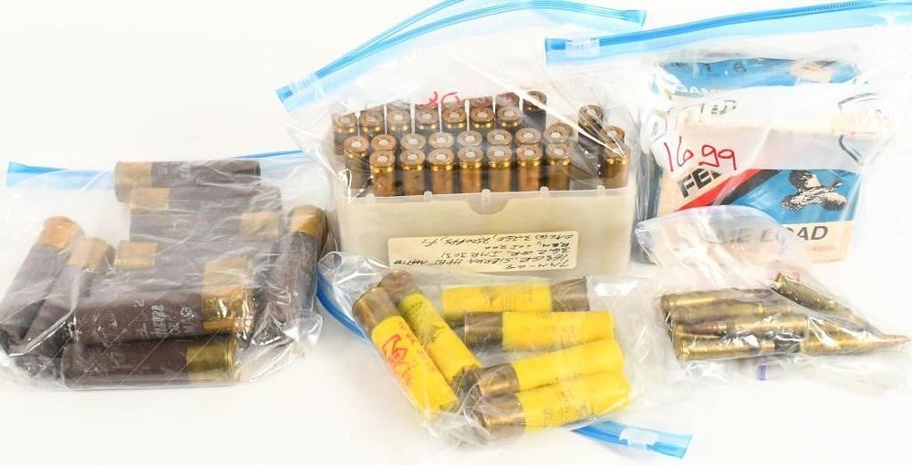 Lot 532: lot of various ammunition 16 ga, 10 ga, 20 ga 7mm