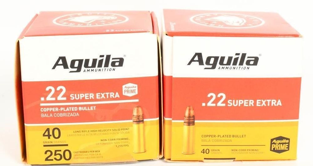 Lot 1054: 2 Bricks of Aguila .22 LR Super Extra Ammo 500 Rds