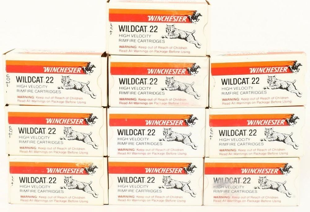 Lot 1507: 500 Rounds Of Winchester Wildcat .22 LR Ammo