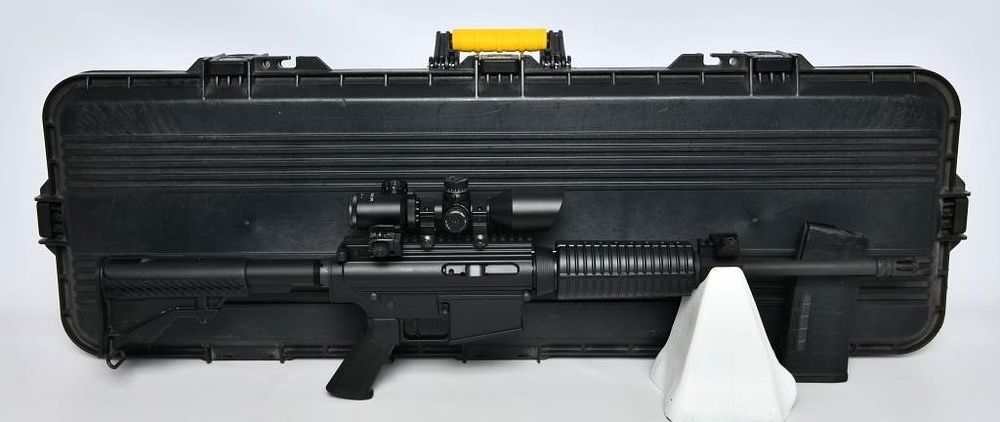 Lot 282: DPMS Panther Arms LR-308 Semi Auto RIfle .308