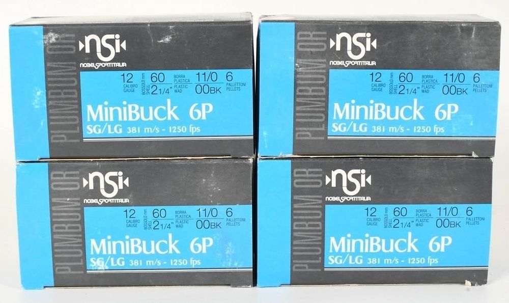 Lot 343: 40 Rounds Of NSI 12 Gauge Mini Buck Shotshells