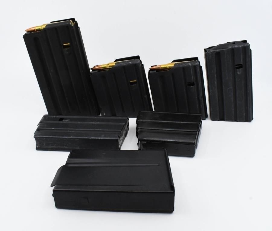 Lot 1366: 31 Rounds Of .308 Win Ammo & Magazines