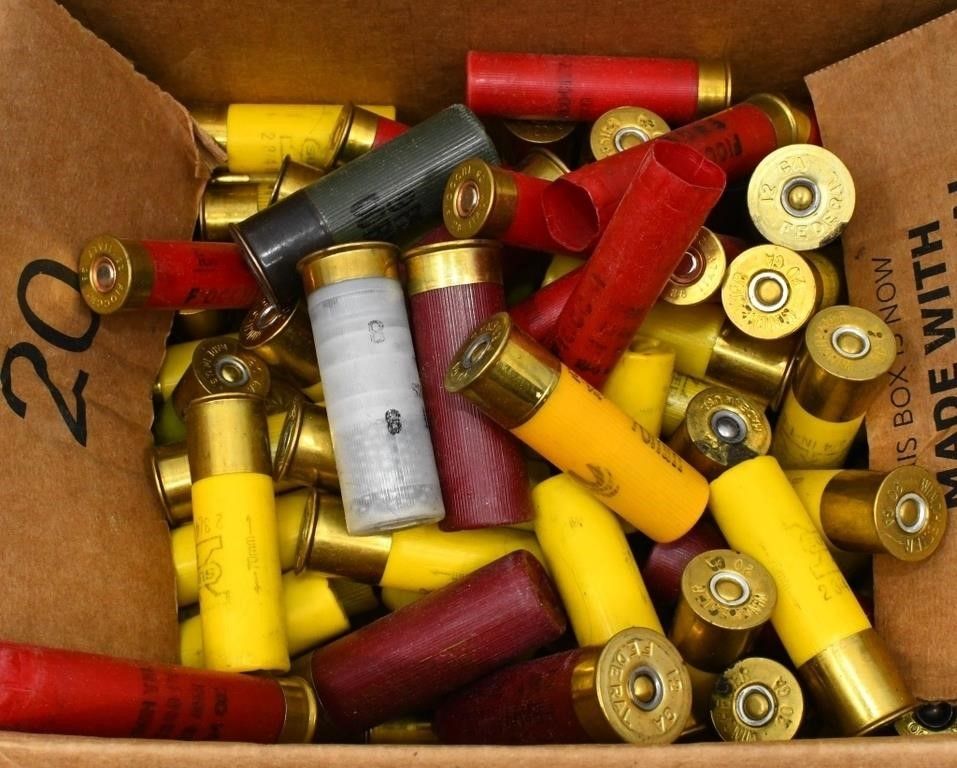 Lot 1492: Large Lot of Various Plastic Shotshells