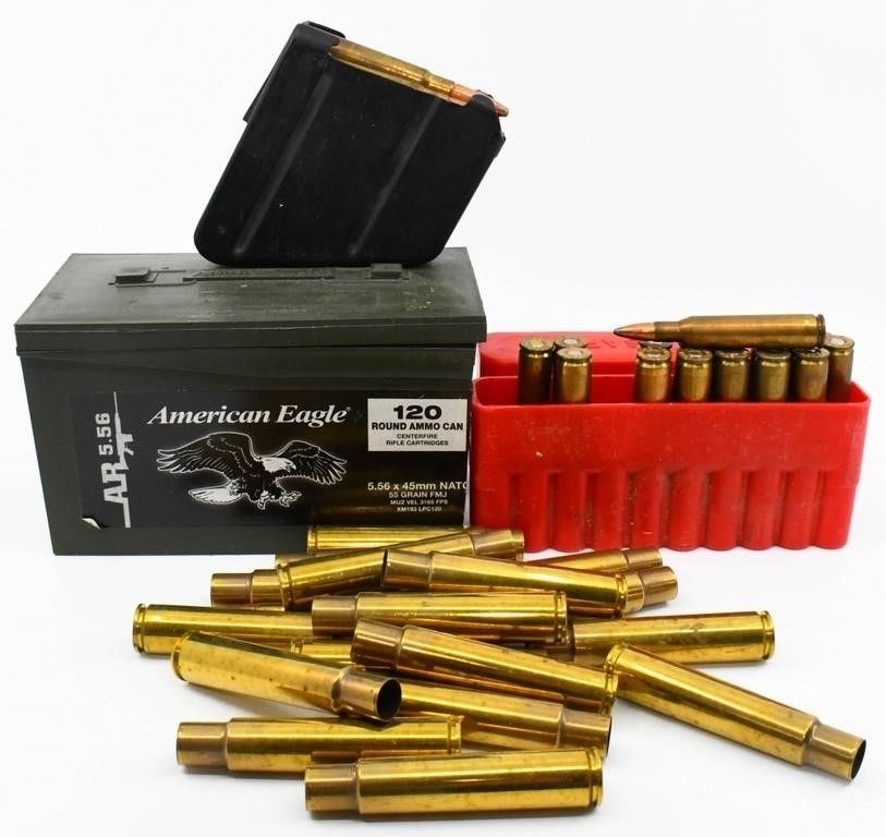 Lot 1681: Mixed Variety Lot of Ammunition & Brass Casings