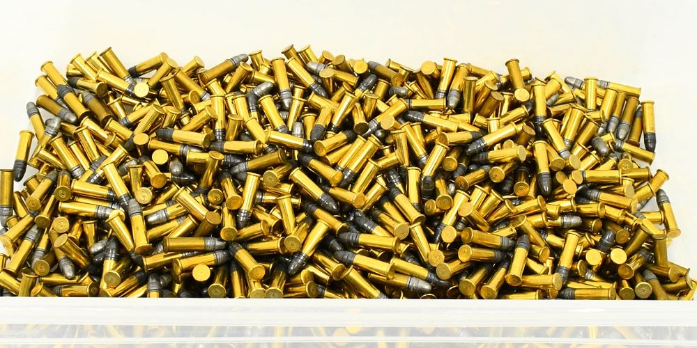 Lot 73: 1000 Rounds Of Blazer .22 LR Ammunition