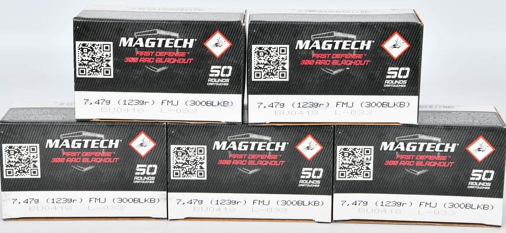 Lot 520: 250 Rounds Of Magtech .300 AAC Blackout Ammo