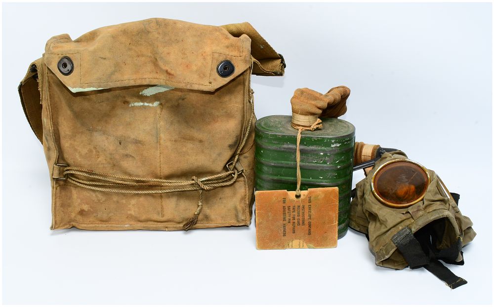 Lot 1333: WWI US Army M1917 SBR Gas Mask Ensemble with Carrier Bag