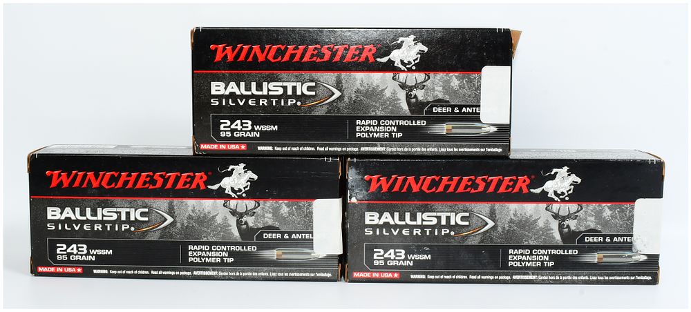 Lot 73: Winchester Ballistic Silvertip .243 WSSM 95 Grain Ammunition, 60 Rounds