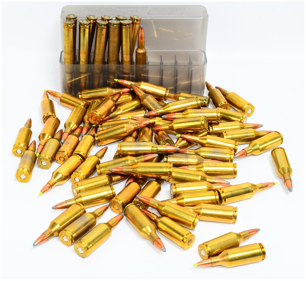Lot 1342: Ammunition Lot: 64 Rounds .223 WSSM & 11 Rounds .250 Weatherby Magnum with MTM Case-Gard Box