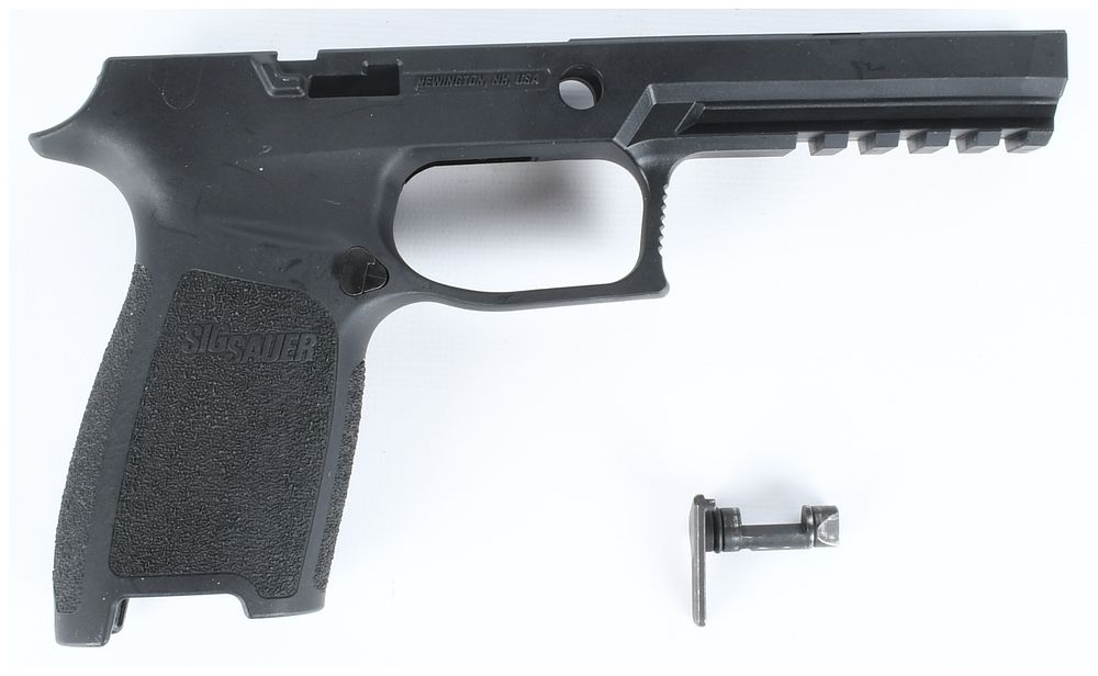 Lot 101: Sig Sauer P320 Full Size Grip Module and Take Down Lever Lot