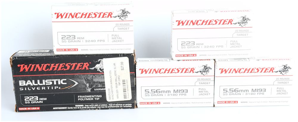 Lot 286: Winchester Ammunition Lot, .223 Rem Ballistic Silvertip and 5.56mm M193, 100 Rounds, Modern