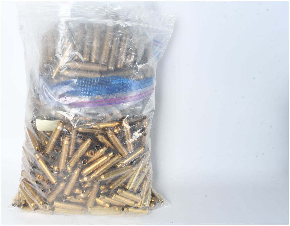 Lot 1451: A Lot of 250 Winchester .223 Remington Brass Ammunition Casings