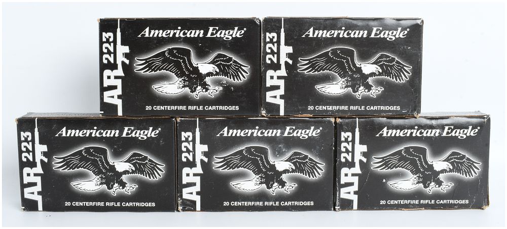 Lot 94: A Lot of 100 Rounds of Federal American Eagle .223 Remington 55 Grain Full Metal Jacket Centerfire Rifle Ammunition