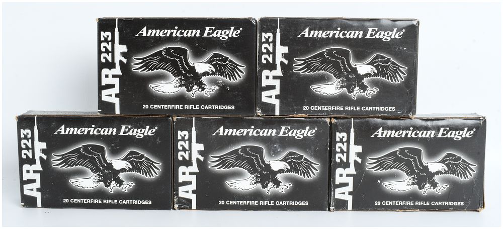Lot 310: Federal American Eagle 100 Rounds .223 Remington 55 Grain FMJ Ammunition
