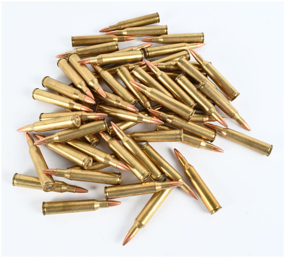 Lot 1054: A Lot of 54 Winchester and Lake City Rifle Ammunition .223 Remington and 5.56x45mm NATO