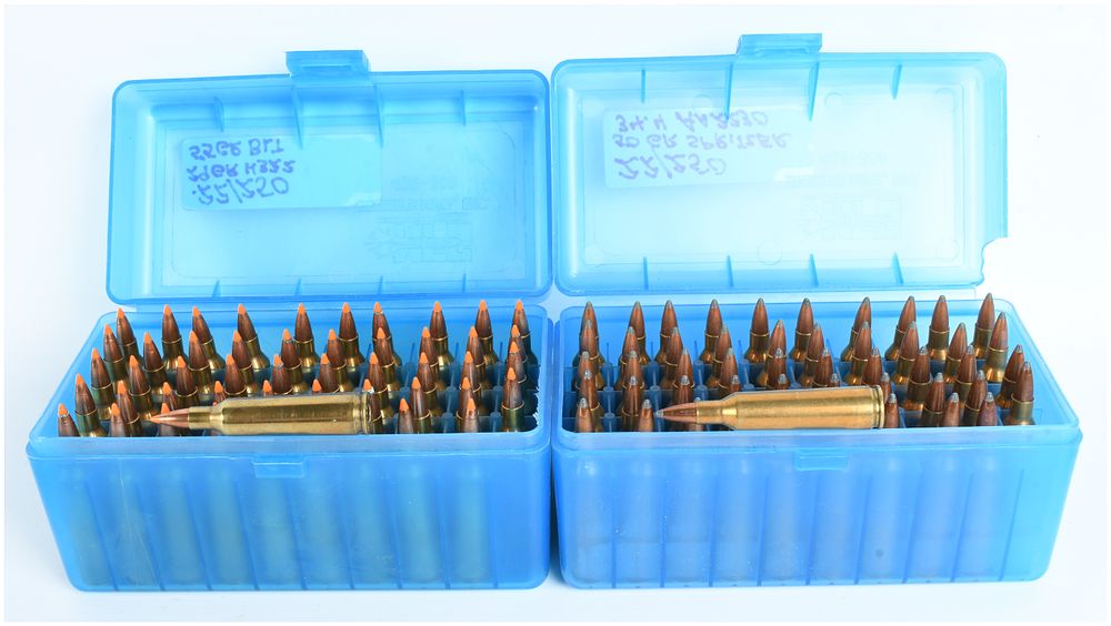 Lot 1231: A Lot of 100 Rounds of Remanufactured .22-250 Remington Ammunition