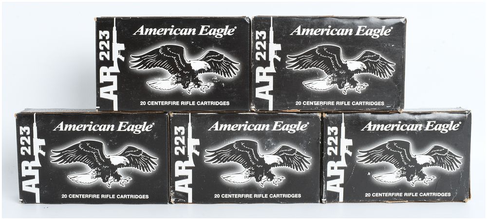 Lot 1309: A Lot of 100 Rounds of American Eagle AR 223 .223 Remington Ammunition