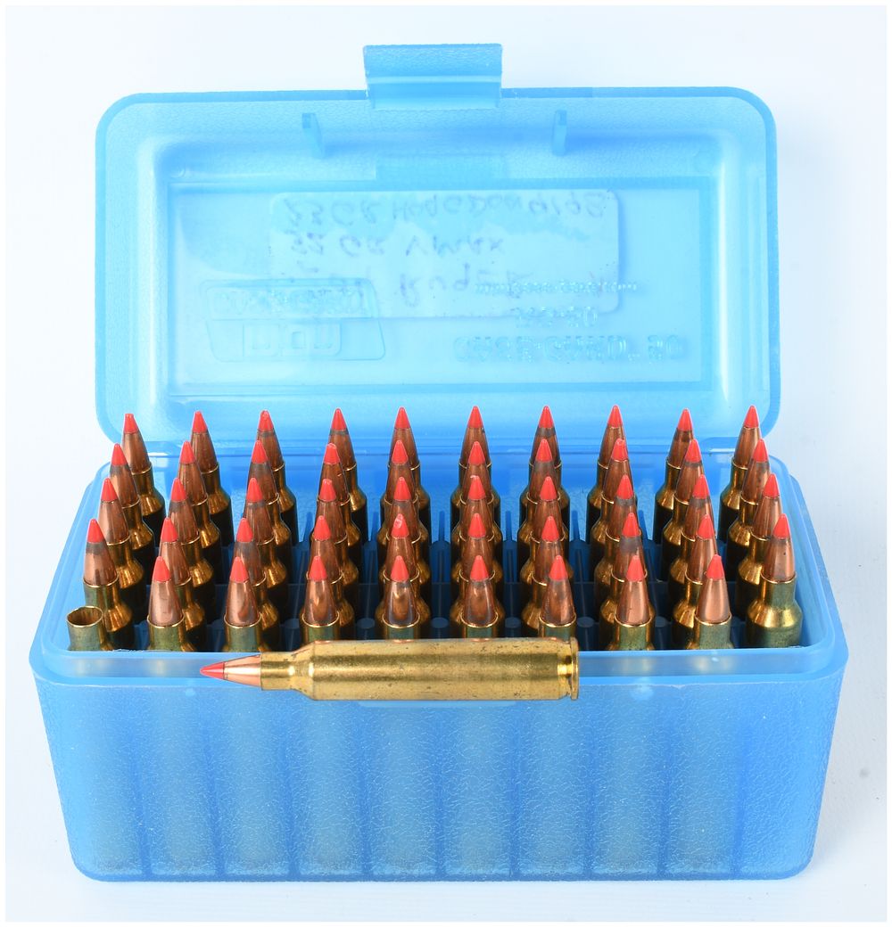 Lot 1531: A Lot of 49 Hornady .204 Ruger Remanufactured Cartridges