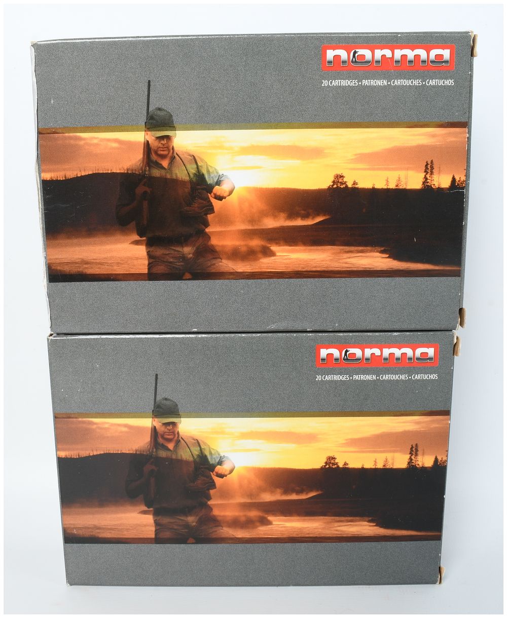 Lot 364: Norma 6.5 x 55mm Swedish Mauser Nosler Ballistic Silver Tip Ammunition 40 Rounds
