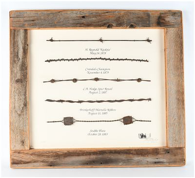 Living in the Past Limited Edition Framed Barbed Wire Display by K.J. Smith. This is a 