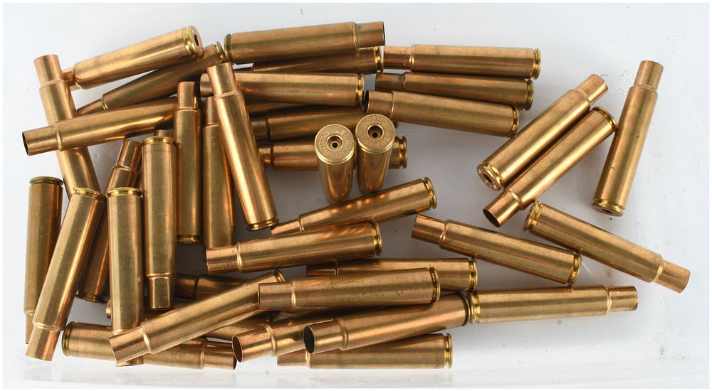 Lot 287: A Lot of 41 Norma .416 Rigby Empty Brass Casings