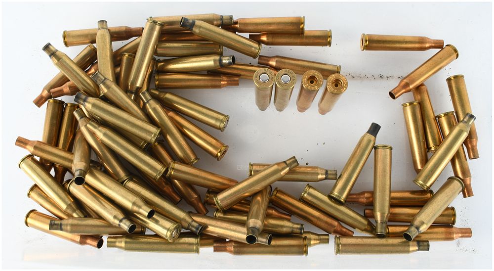 Lot 1526: A Lot of 40 Remington .220 Swift Empty Brass Casings