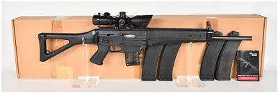 Sig Sauer SIG522 Semi-Automatic Rifle .22 LR with 20 Inch Barrel. This Sig Sauer SIG522 is a 