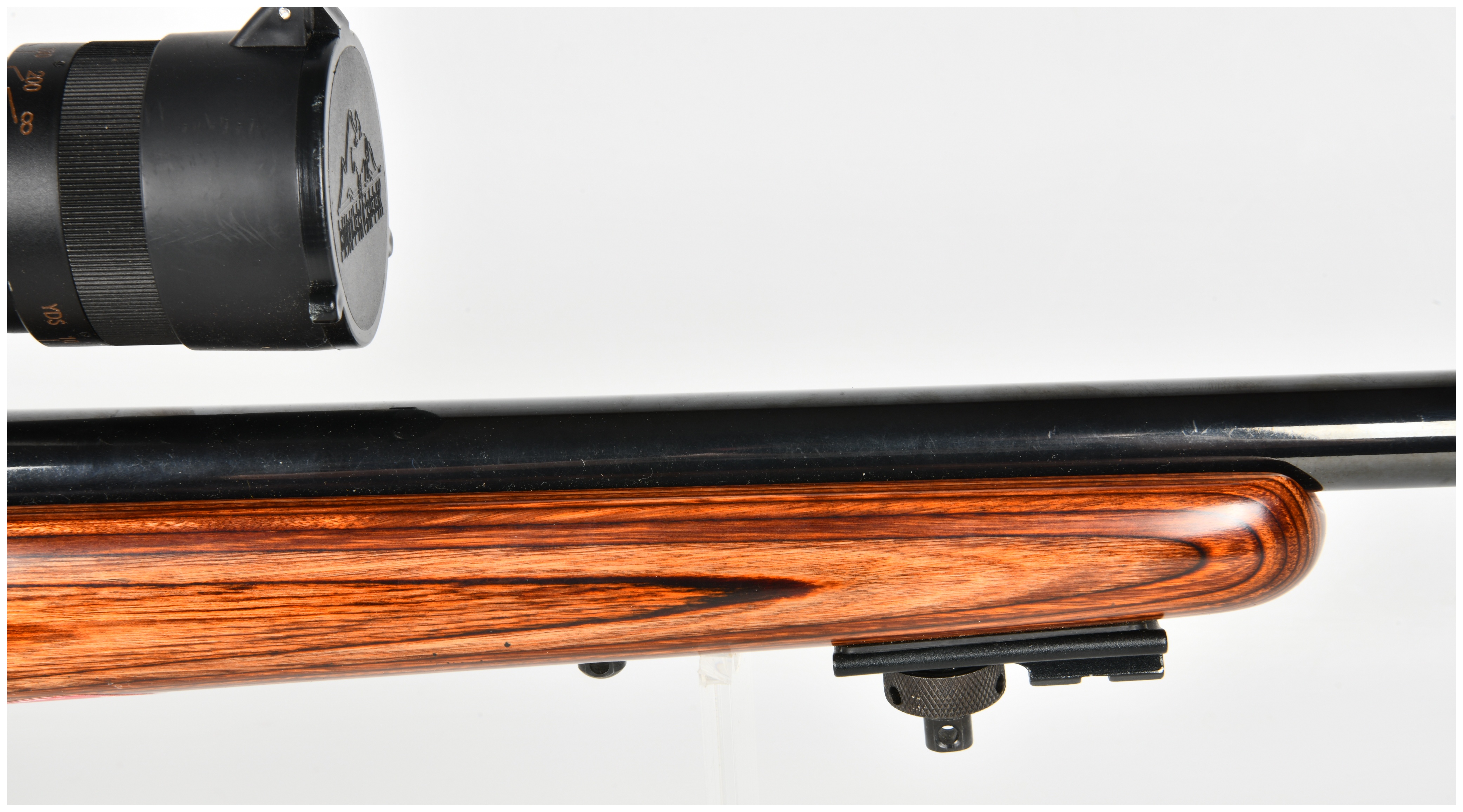Savage Model 25 Bolt Action Rifle .17 Hornet with 24 Inch Barrel