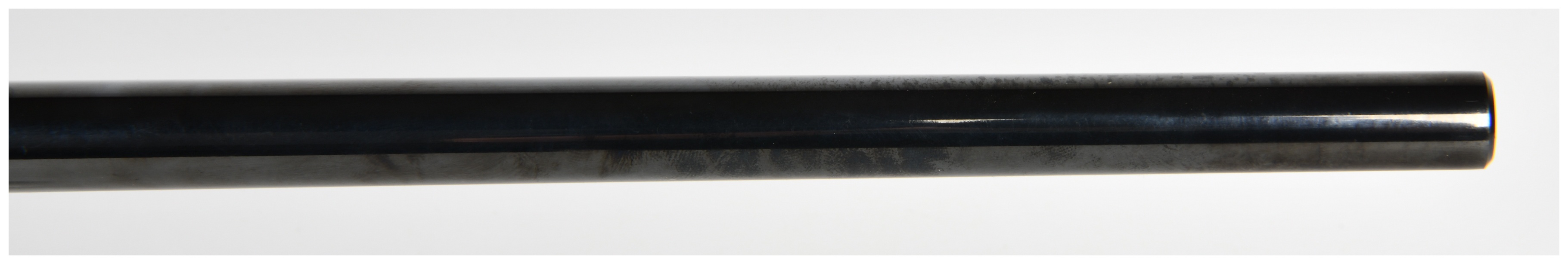 Savage Model 25 Bolt Action Rifle .17 Hornet with 24 Inch Barrel