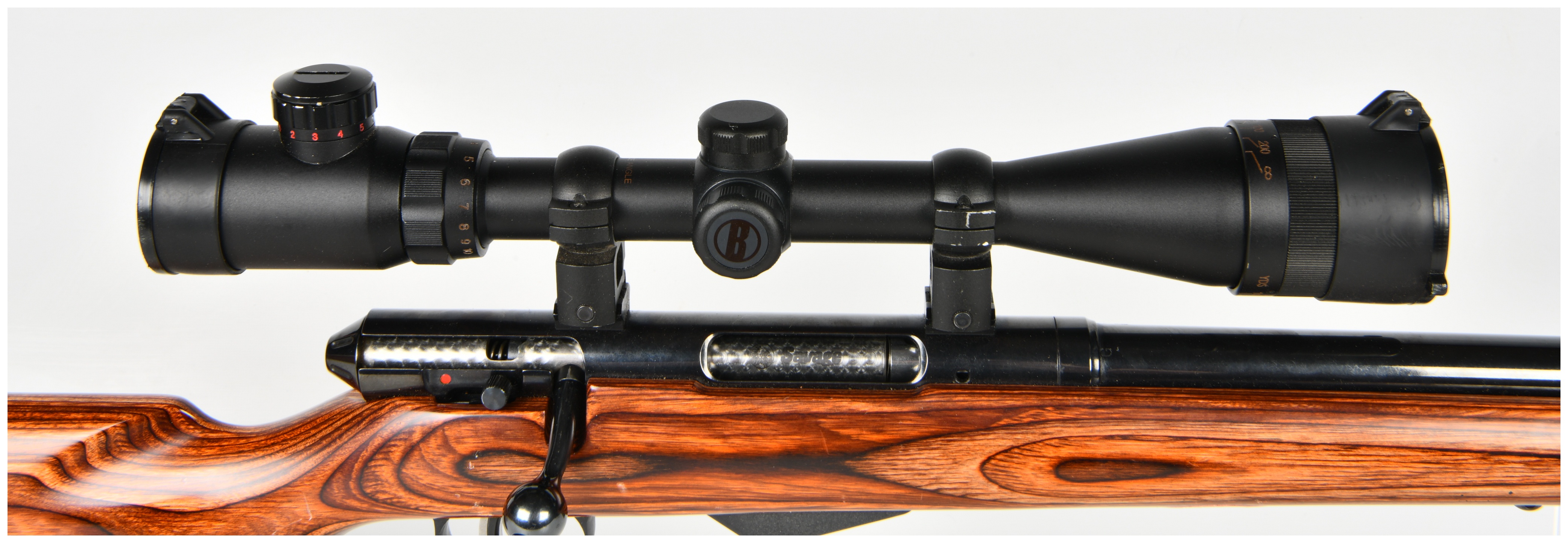 Savage Model 25 Bolt Action Rifle .17 Hornet with 24 Inch Barrel