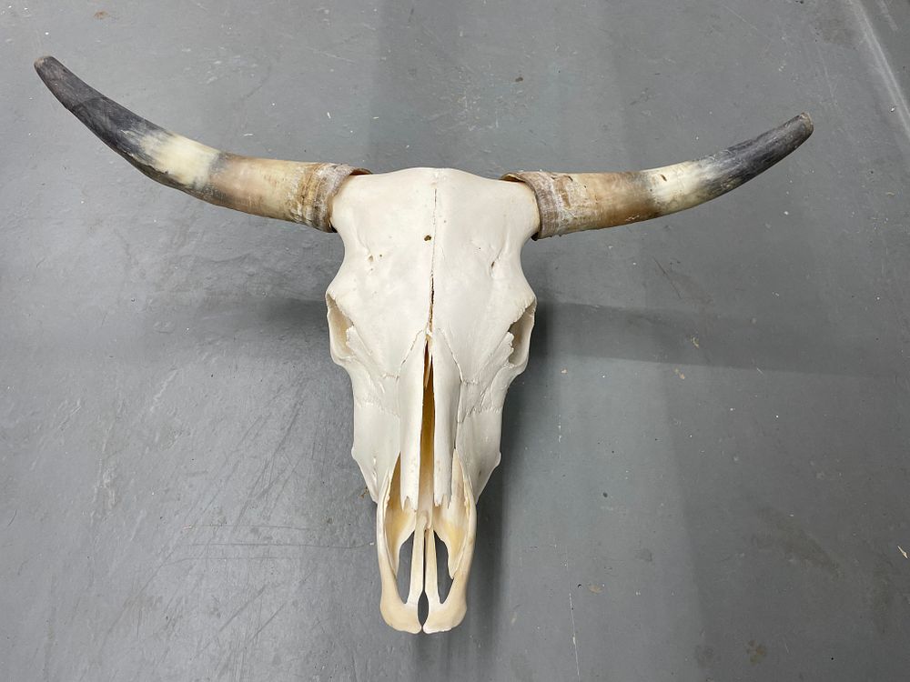 Brewton Auction & Estate Sales | September FUN! ONLINE ONLY