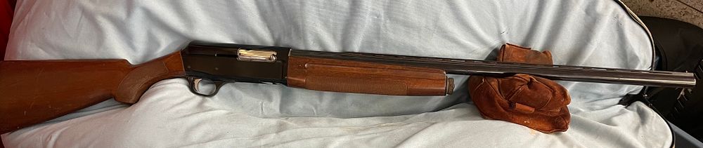Lot 243: Franchi Brescia 12ga