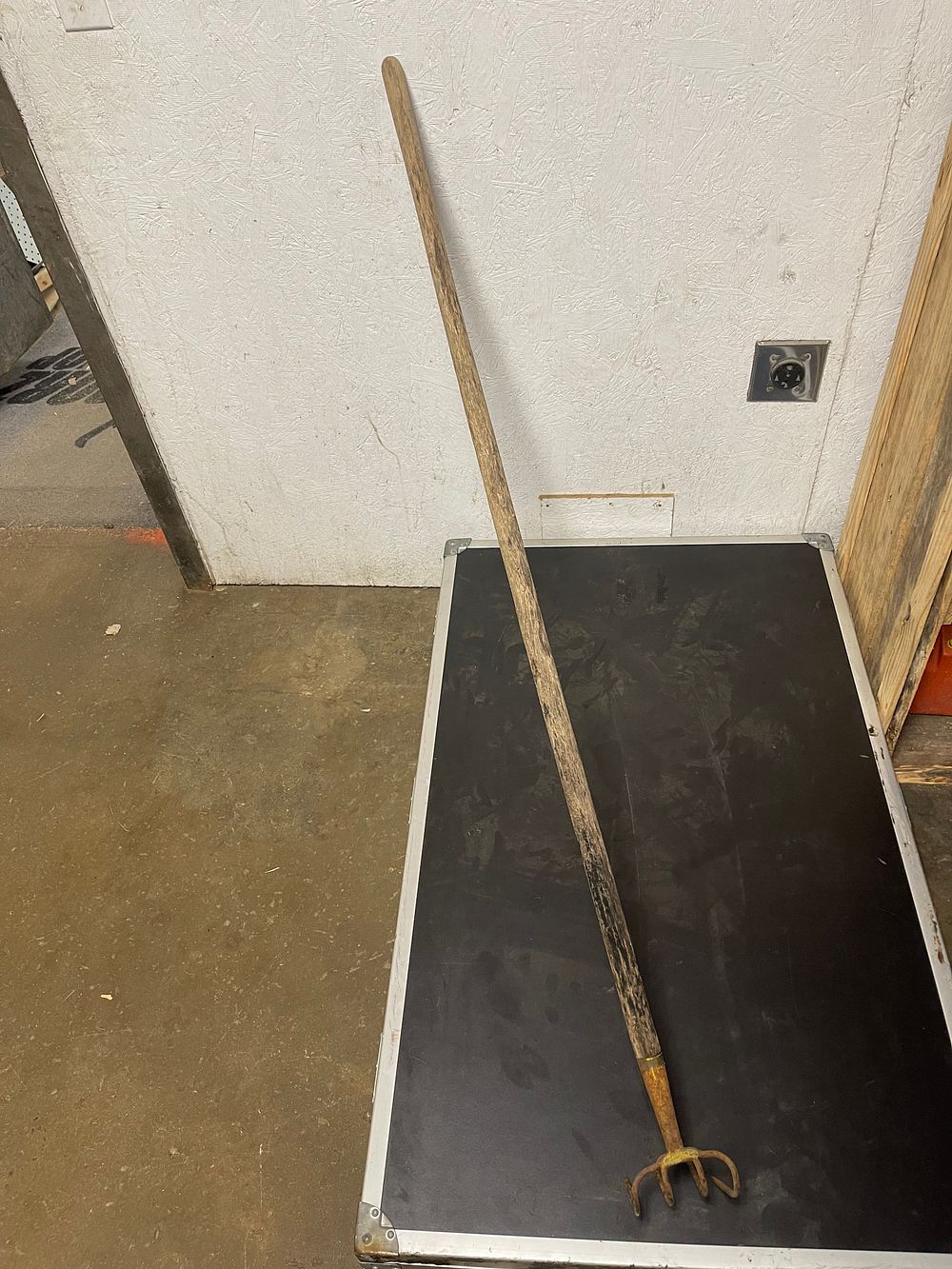 Lot 211: Rake no shipping 