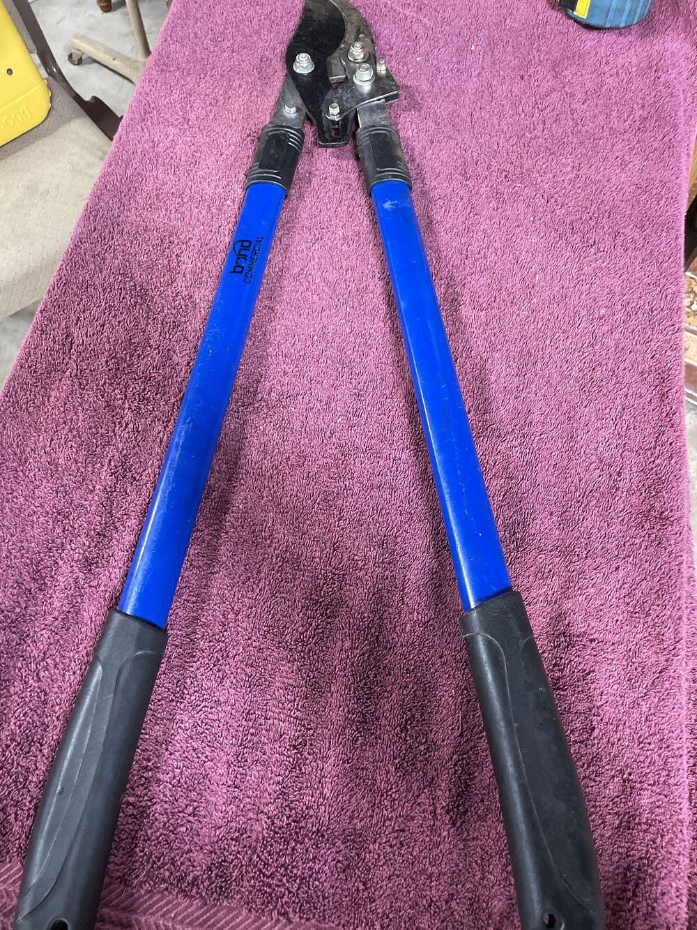 Lot 280: A Pair of Bond Commercial Blue Bypass Loppers