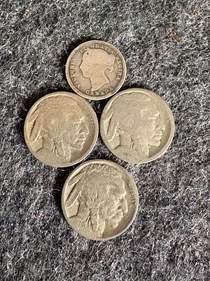 A Collection of US Buffalo Nickels and Canadian Victoria Coin. A collection of United States 