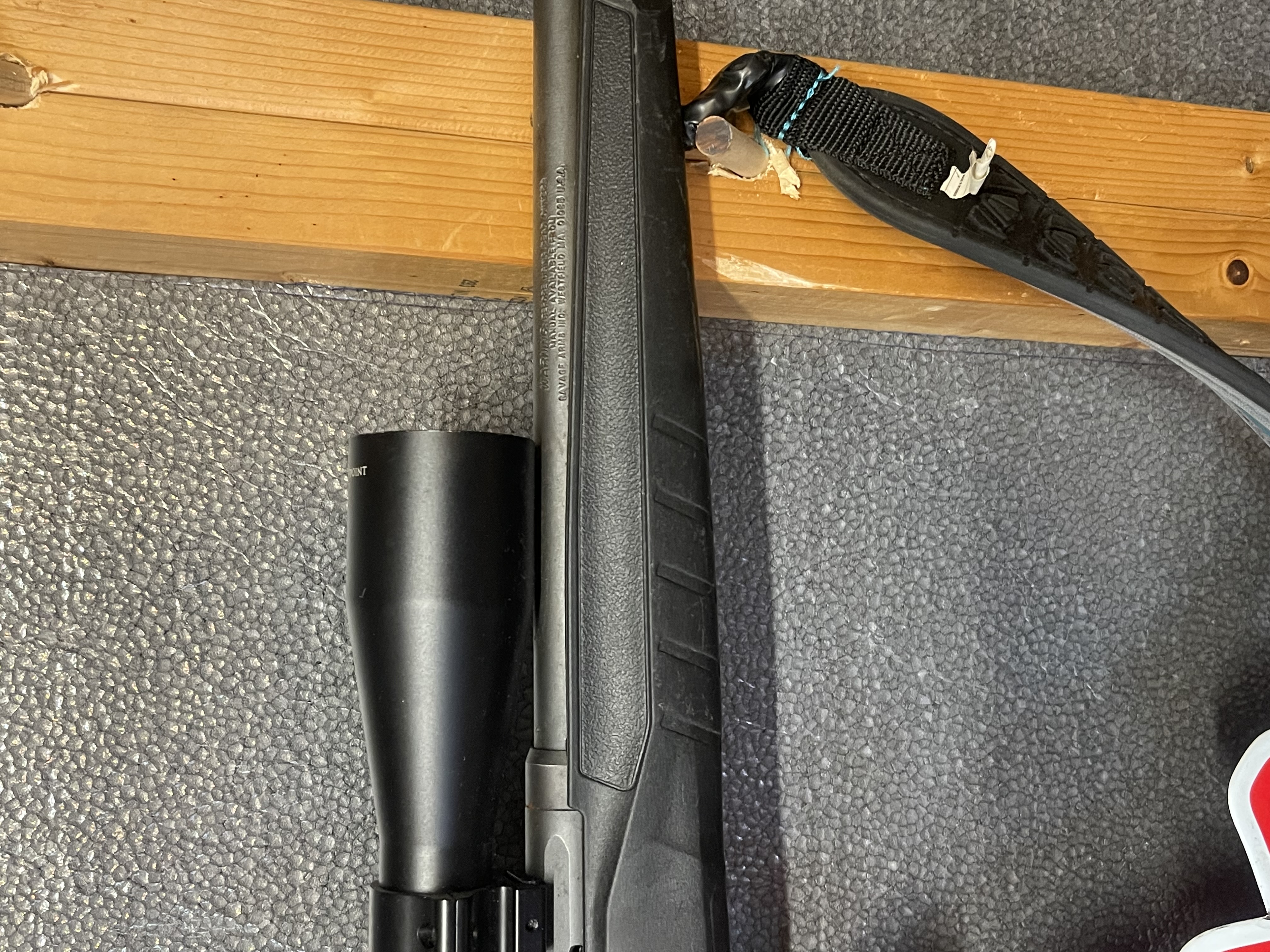 Savage B22 Magnum F 22 WMR Bolt-Action Rimfire Rifle with scope
