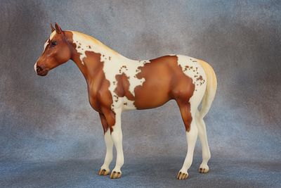 Quarter Horse Yearling - Mold # 101 - This sweet young guy is truly a showstopper and is done 