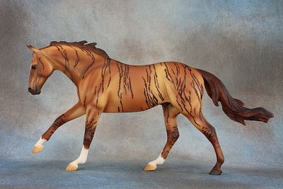 Australian Stock Horse - Mold # 746 - This cool guy is ready for a forever home with you! The 