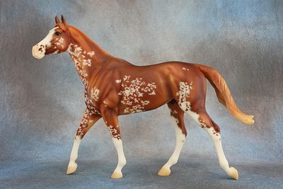 Walking Thoroughbred – Carrick - Mold # 724 - Lot number 17 in the BreyerFest Against All Odds 
