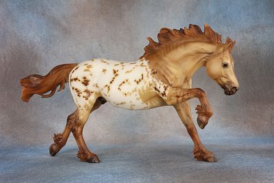 Welsh Cob (“You’re So Vain” Sunday Raffle) - Mold # 826 - This guy is ready to show off his 