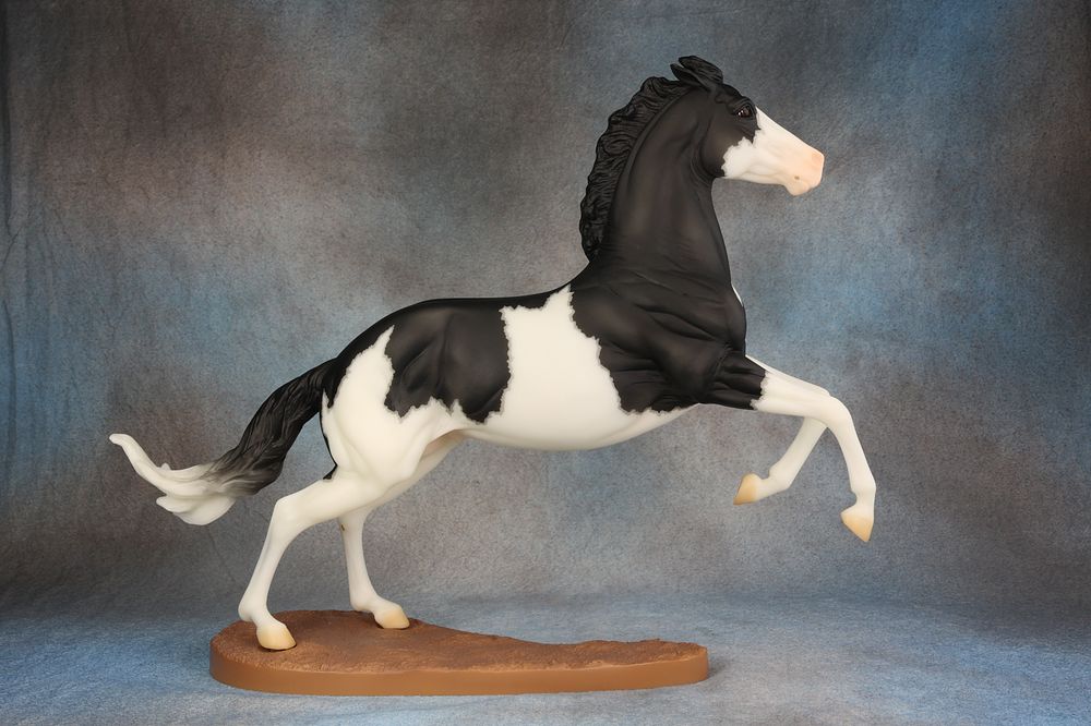 Gaming Stock Horse - Wyatt - 730 (M) - Hang on as this flashy guy is ready to run fast! Lot #5 