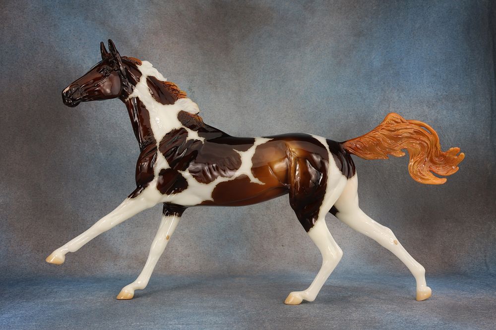 Akhal Teke - 805 (G) - This fine gentleman is ready to gallop his way into your heart and herd! 