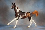 Akhal Teke - 805 (G) - This fine gentleman is ready to gallop his way into your heart and herd! Image - 1
