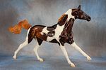 Akhal Teke - 805 (G) - This fine gentleman is ready to gallop his way into your heart and herd! Image - 2