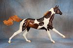 Akhal Teke - 805 (G) - This fine gentleman is ready to gallop his way into your heart and herd! Image - 3