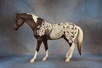 Rugged Lark - 450 (M) - Last produced in 2008 Rugged Lark is making his triumphant return for Image - 3